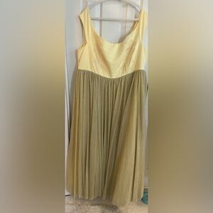 Beautiful Bell embroidered dress with gold shimmer overlay.